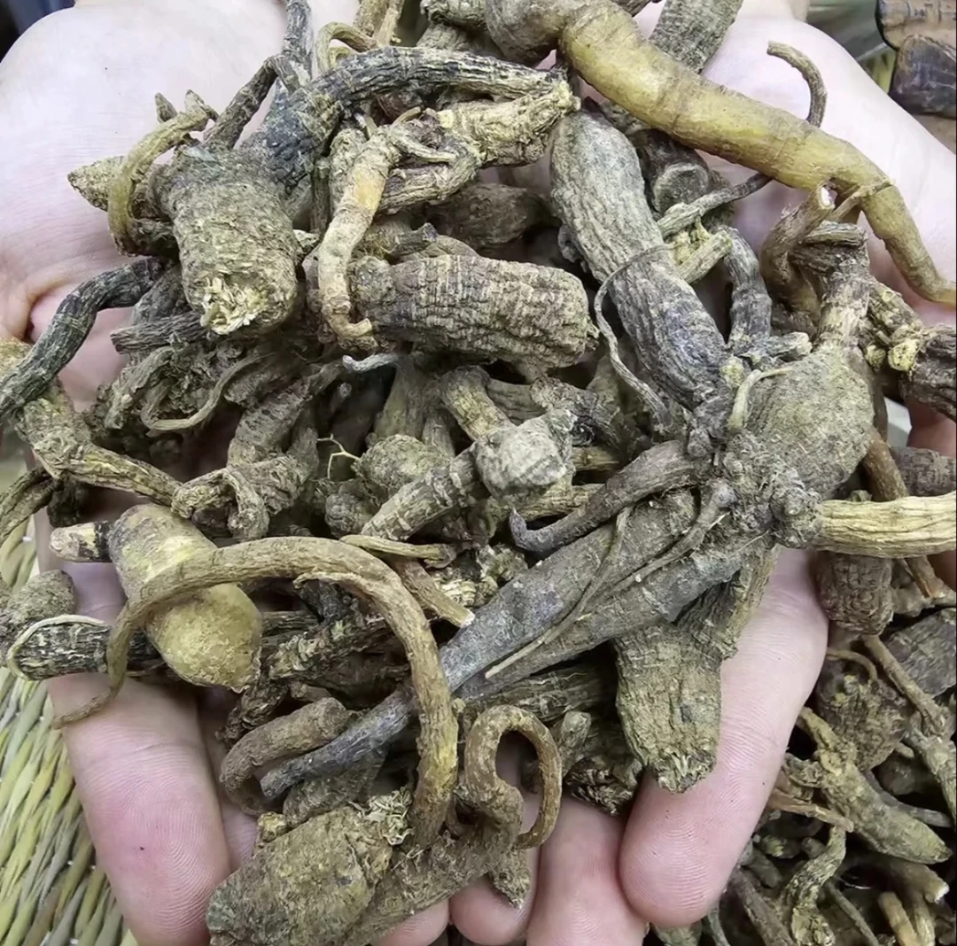 【阿刊収好货】现-收土特产 虎-尾-参-100克-500克食用农产品