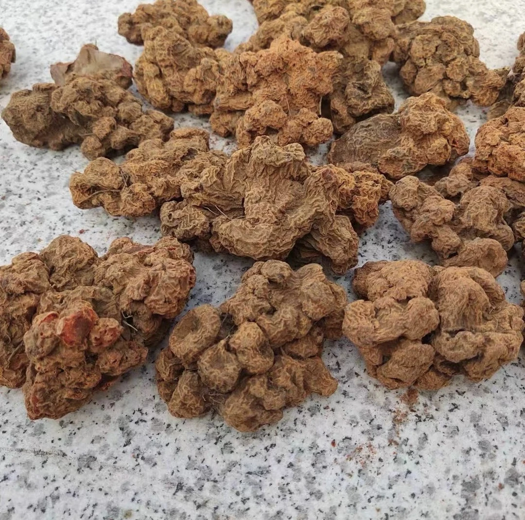 【阿刊収好货】现收土特产 血-菩-提 250-1000克食用农产品