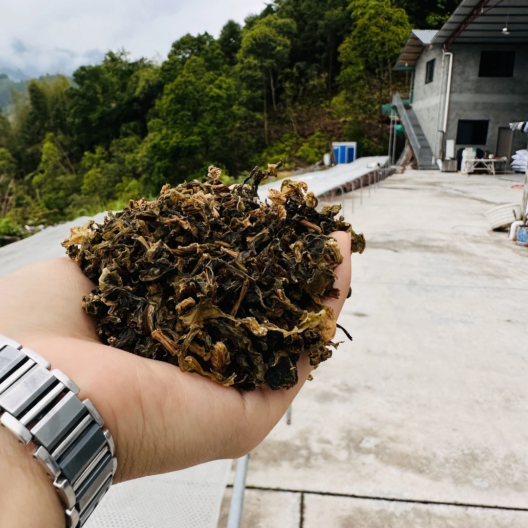 【干净无沙】梅干菜 泰顺特产250g