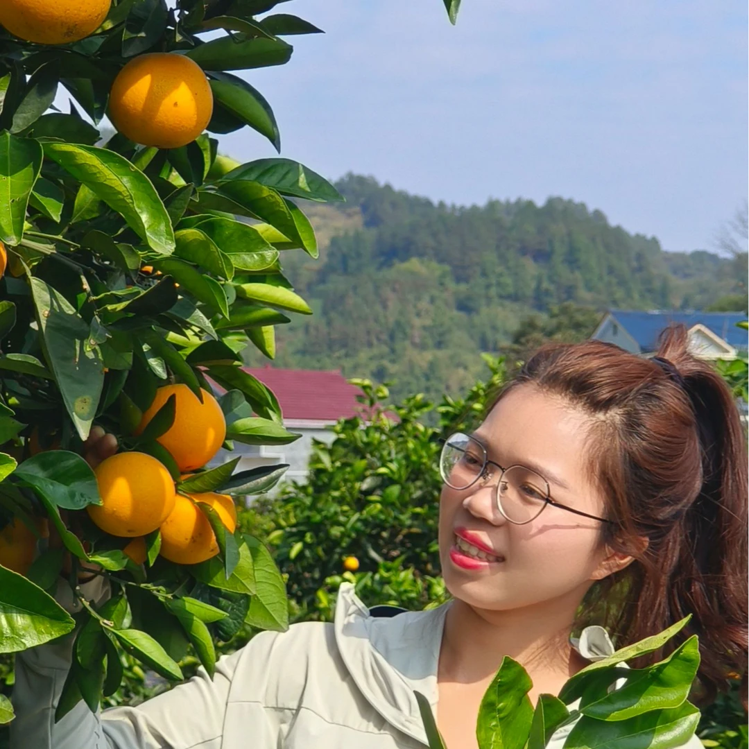 正宗湖南麻阳现货锦蜜甜橙冰糖橙子新鲜水果当季现摘直发