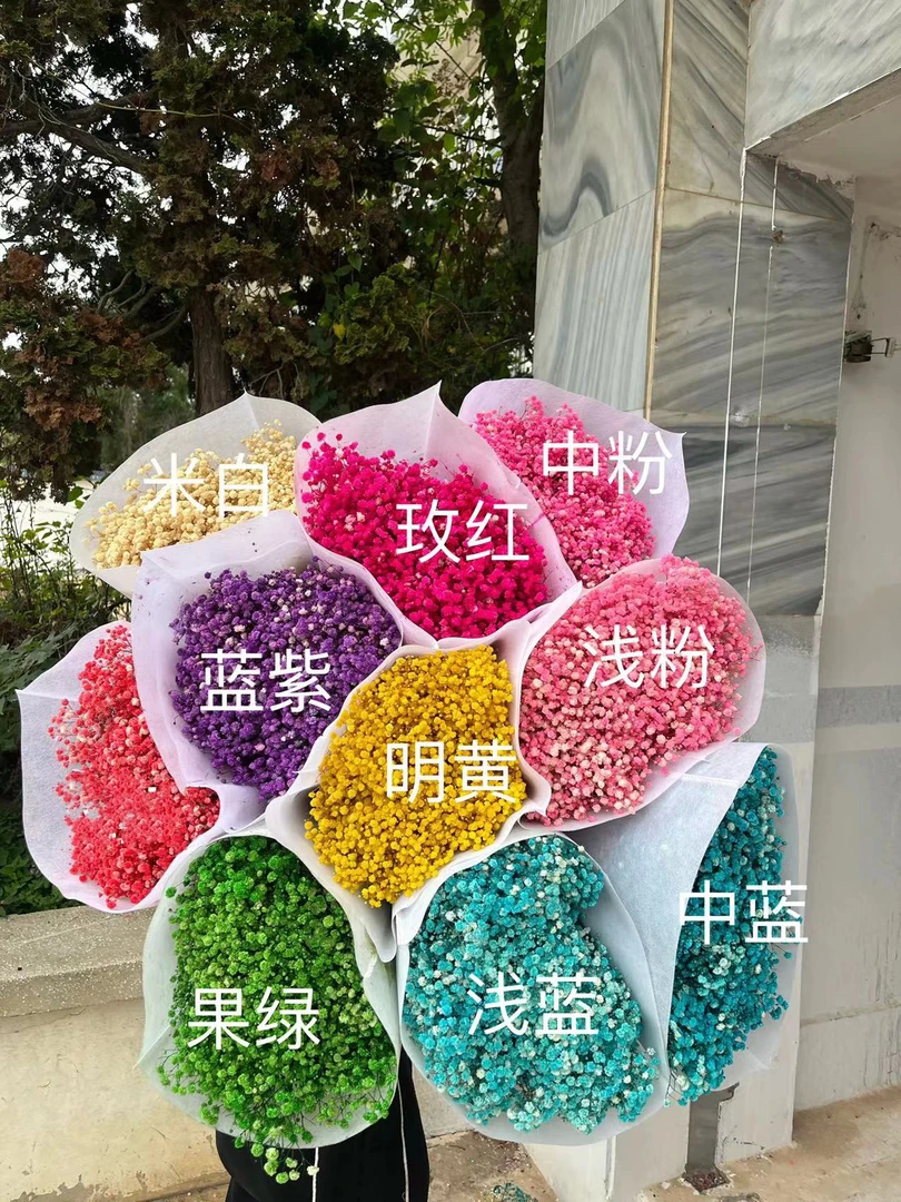 永生满天星直播间专属链接(一物一拍改价链接)