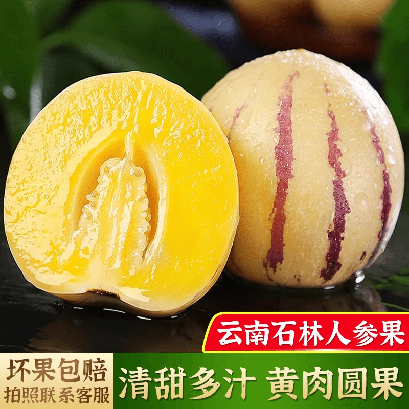 云南石林人参果树上熟黄肉大果清甜皮薄多汁新鲜低糖应季水果JD
