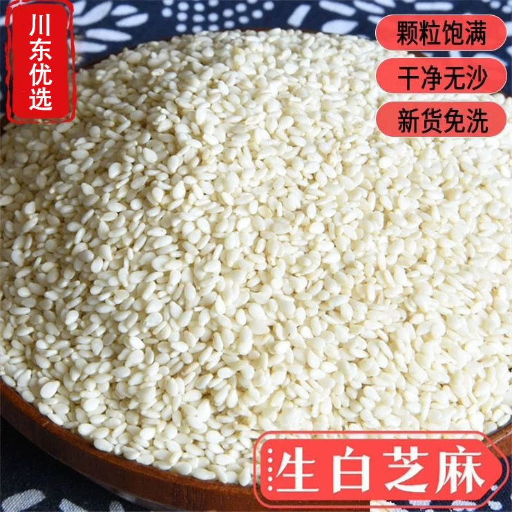 新鲜生白芝麻干净无沙免洗可榨油