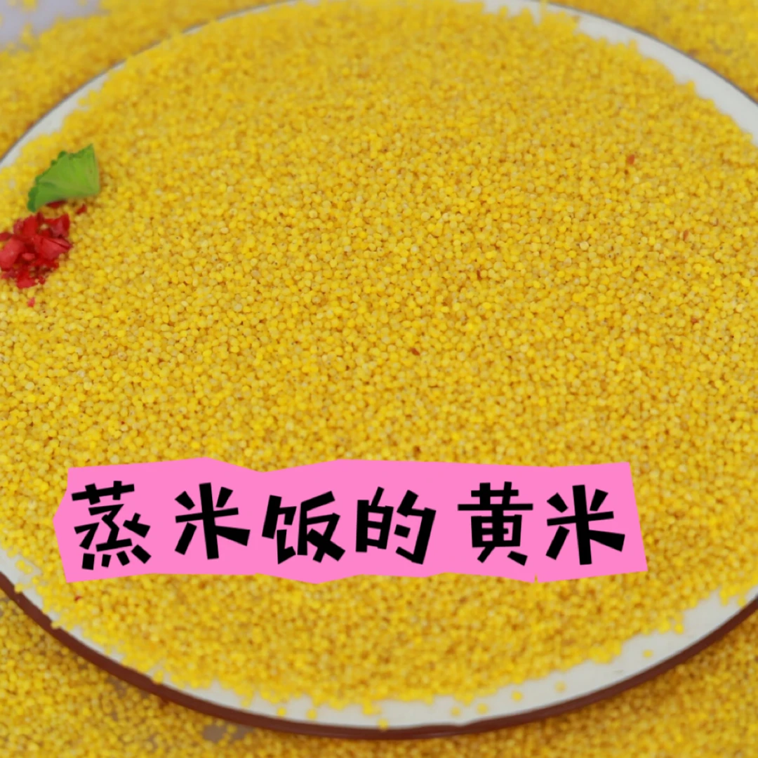 【陕北晓儿】陕北大黄米 蒸米饭米 红糜子硬黄米2斤/5斤装包邮