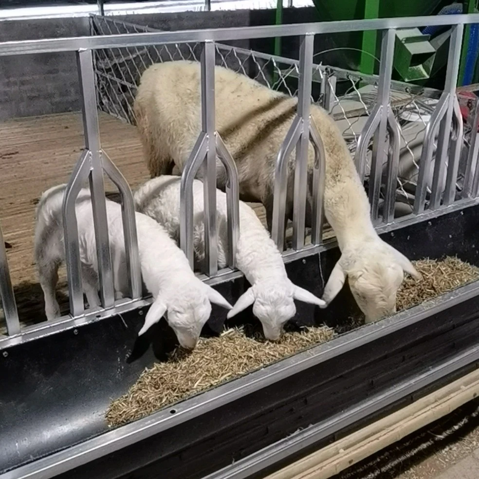 自带定位栏翻转式胶皮羊槽-带颈夹羊食槽可避免羊群抢食占地打架