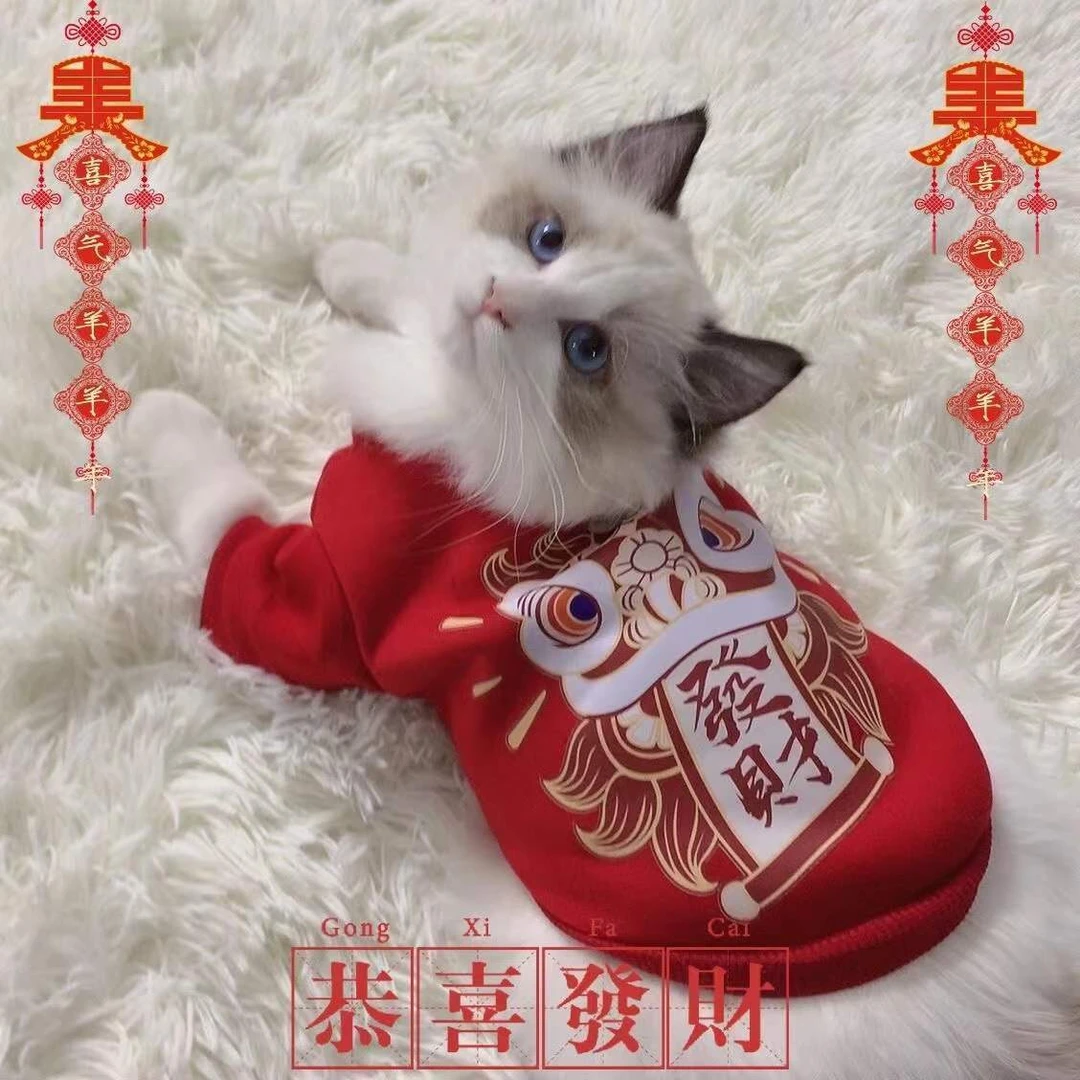 猫咪衣服秋冬新年过年衣服狗狗宠物衣服保暖蓝猫小猫喜庆可爱红色