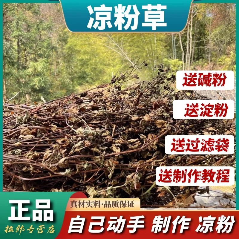 凉粉草250g干货烧草晒干凉粉袋装可做10斤凉粉原料煮水自己动手做