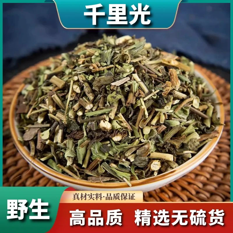 广西【千里光】野生千里光500g克正品九里光小黄花母干货益母草滋补