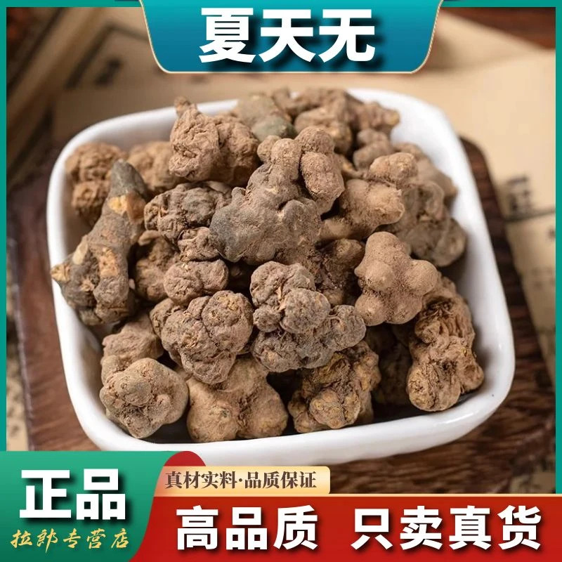【夏天无】500g云南野生延胡索夏天无250g落水珠延胡三七党参滋补料