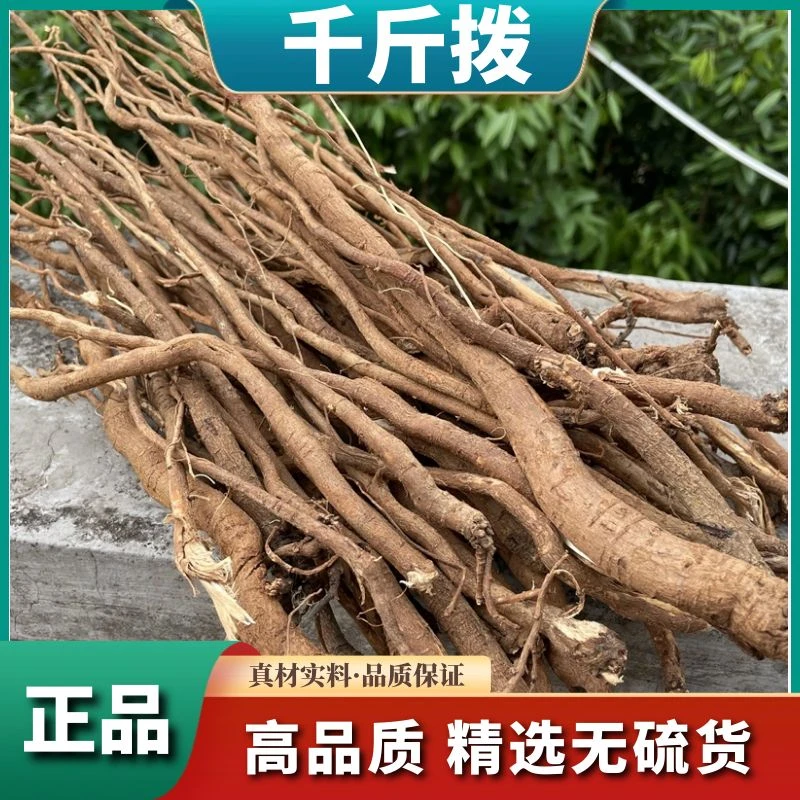 整条【千斤拨】广西野生千斤拨透地龙红皮钻地风整根干货党参黄芪