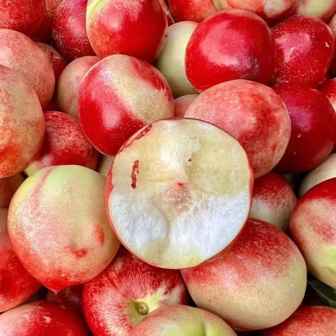 新疆枣油桃（箱/带箱9斤左右）仅限太原六城区榆次可拍