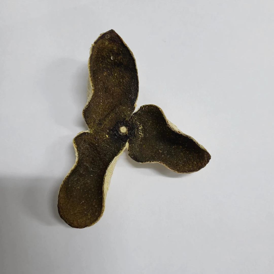柑源匯2023年茶坑青皮