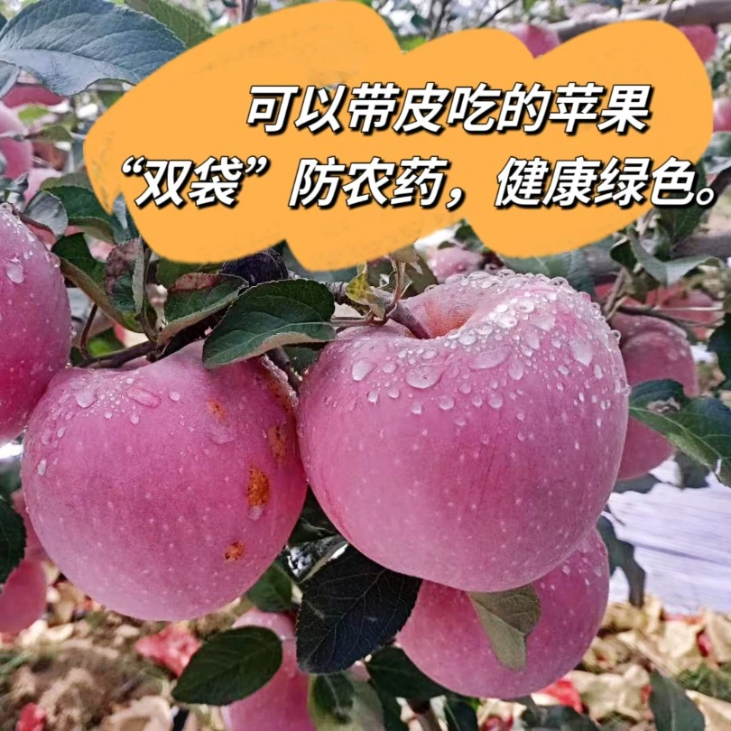 互帮互助合作社苹果(净重9斤)