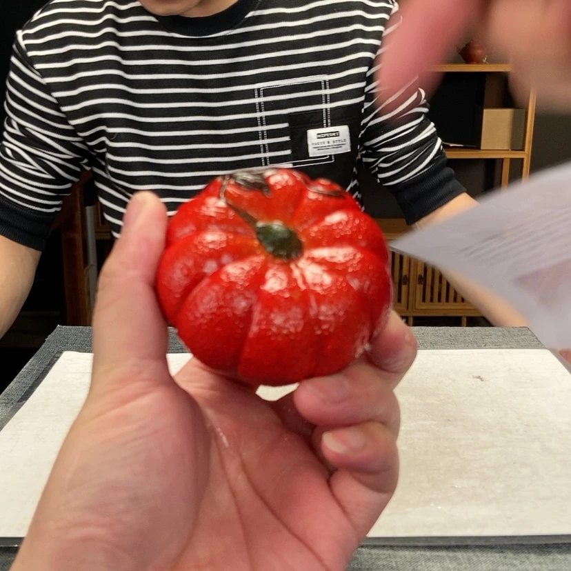 【闪购商品】紫砂茶壶