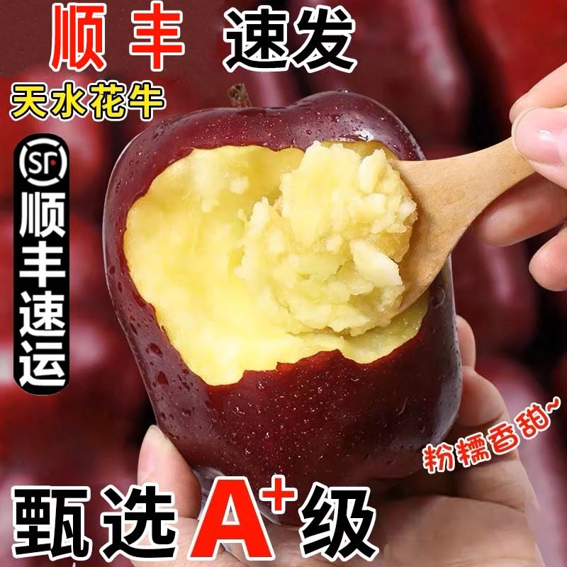 【顺丰包邮】天水花牛苹果粉脆两吃老人小孩营养辅食脆甜爆汁粉面果