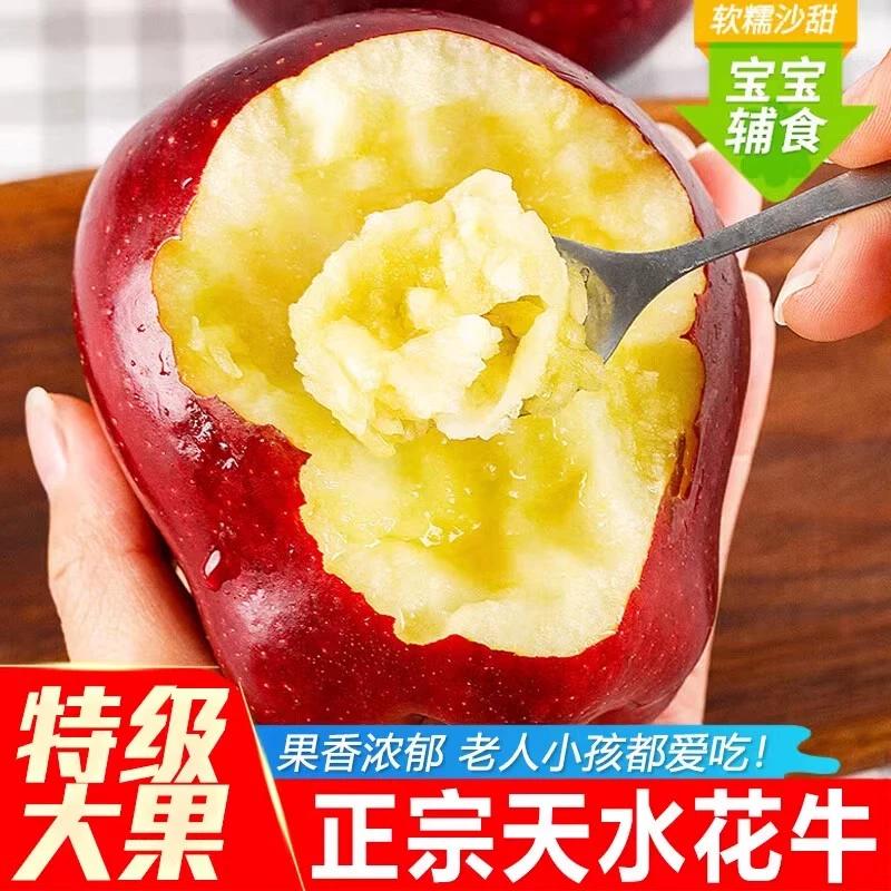 【顺丰包邮】甘肃天水花牛苹果/净重五斤/礼盒装