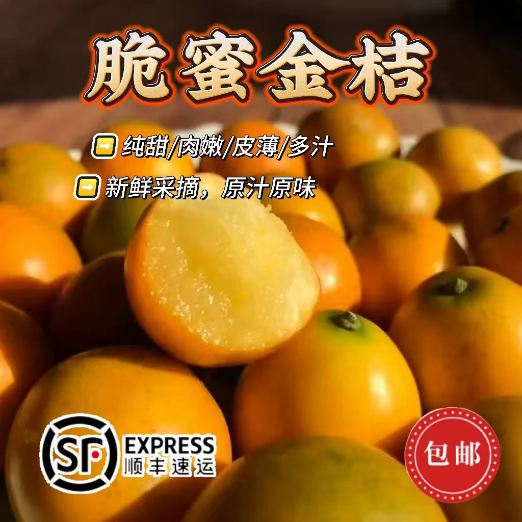 【顺丰包邮】第三代广西融安脆蜜金桔纯甜多汁现摘现发