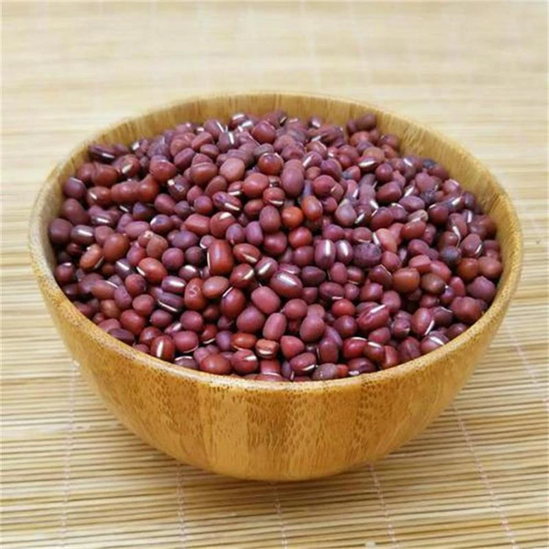 无品牌陕北红小豆赤小豆3斤5斤散装简装食用农产品碳水营养产地