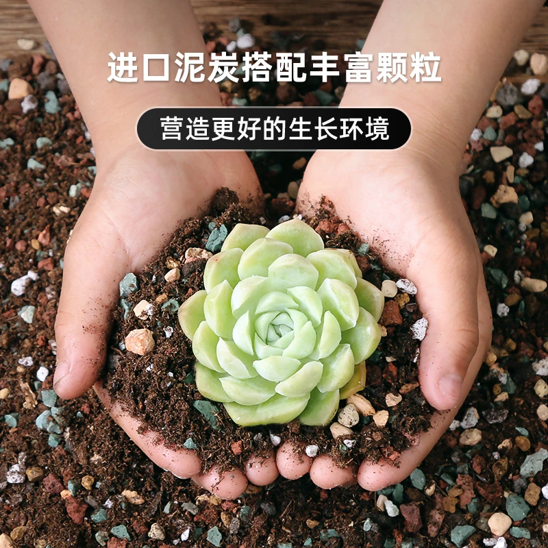 [颗粒土]买五斤送5斤80%多肉专用颗粒土生根营养泥炭土透气多肉土