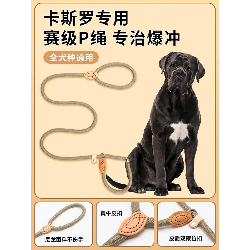 卡斯罗专用狗狗绳子防爆冲P链遛狗牵引绳防挣脱狗链子中大型犬