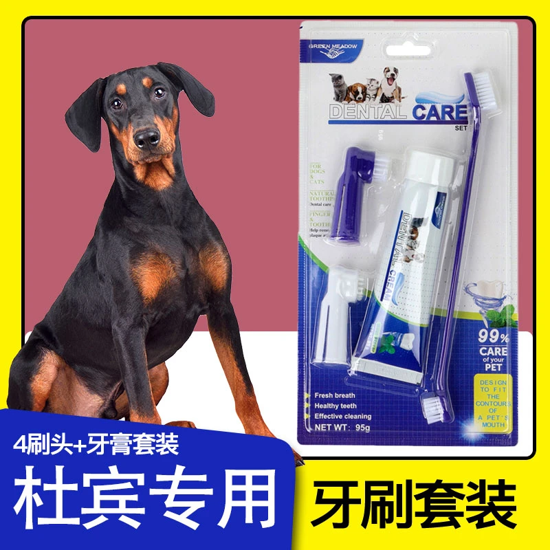 杜宾犬专用牙刷牙膏套装口腔异味牙垢狗狗牙齿清洁用品
