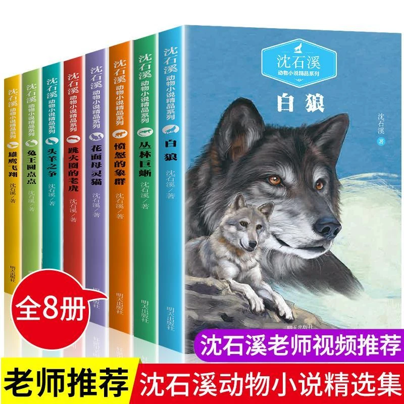 【沈石溪动物小说】3-9年级正版全8册沈石溪的书全系列课外书