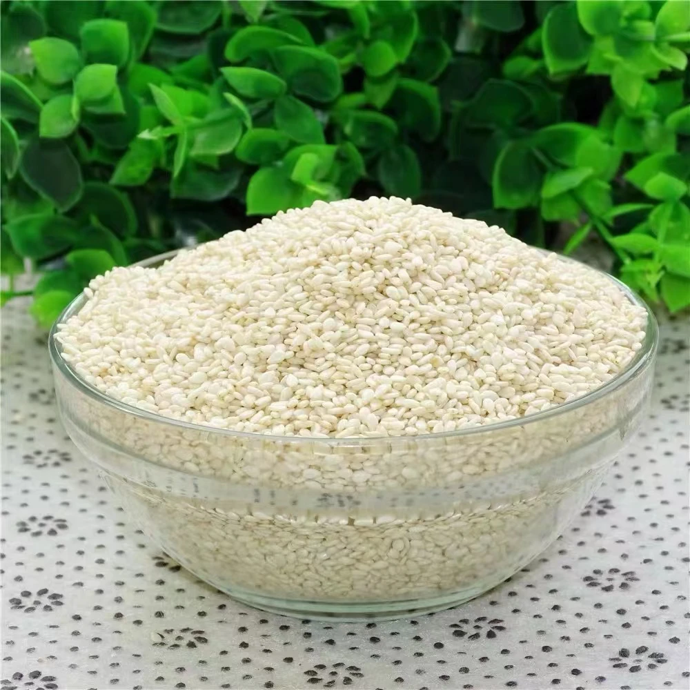 精选脱皮生白芝麻干净颗粒饱满无沙无染色农家芝麻250克装