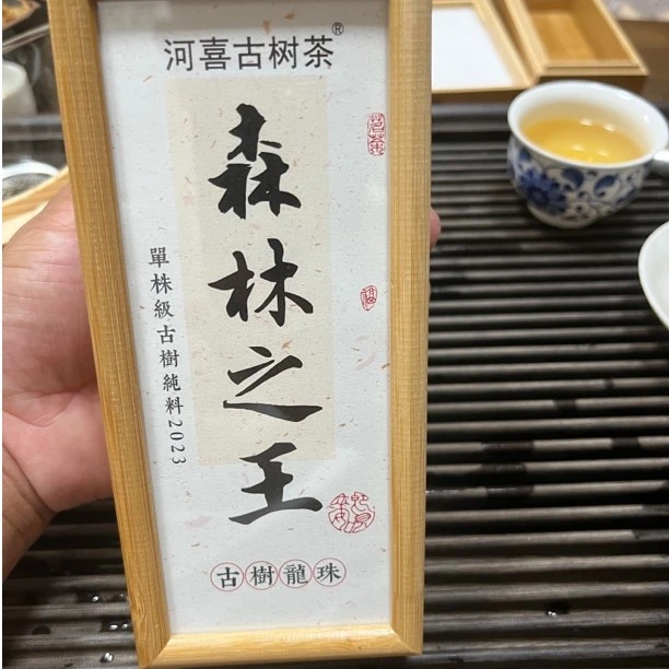 下磨烈-森林之王系列2023年春茶古树单株8克龙珠拍10送1