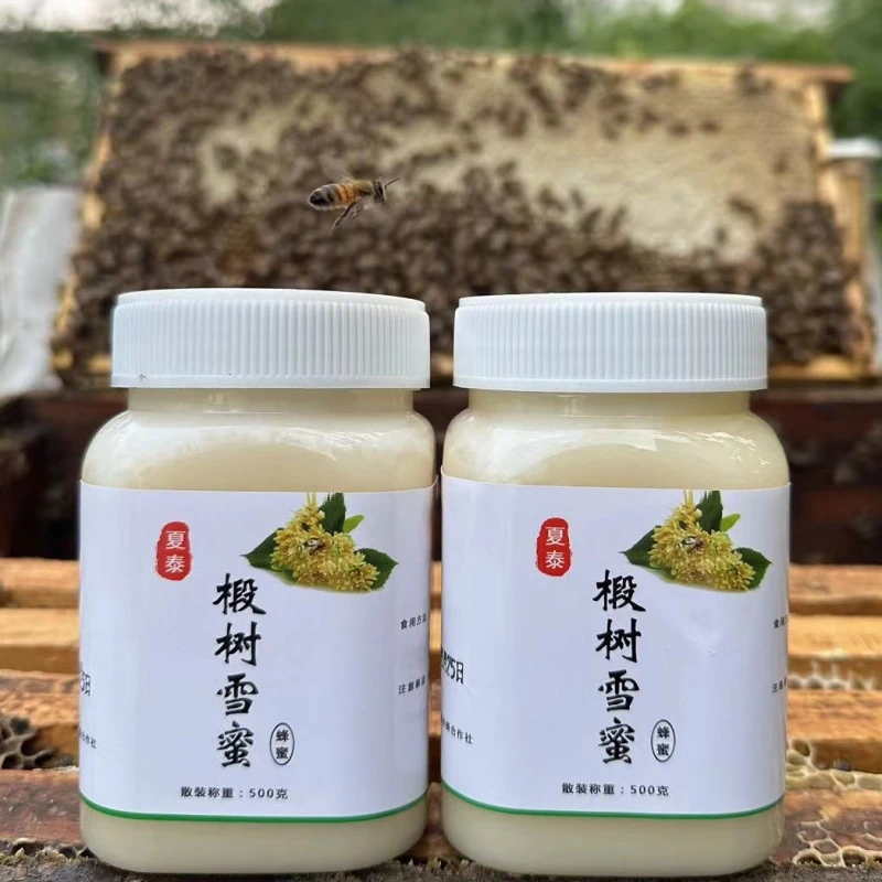 结晶椴树雪蜜500克一瓶 椴树蜜 结晶细腻入口即化买一斤送一斤