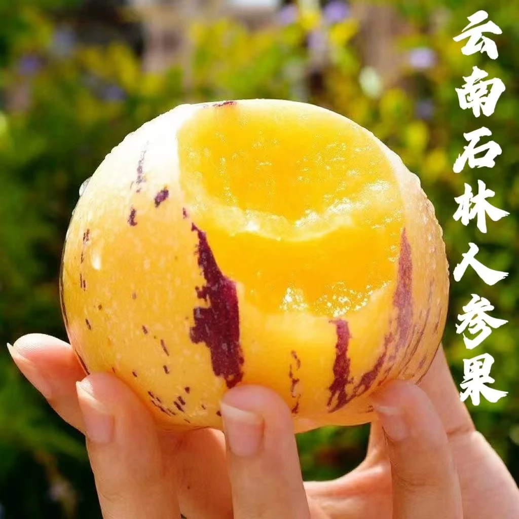 云南特产农家人参果水润多汁新鲜香甜生果多汁发货