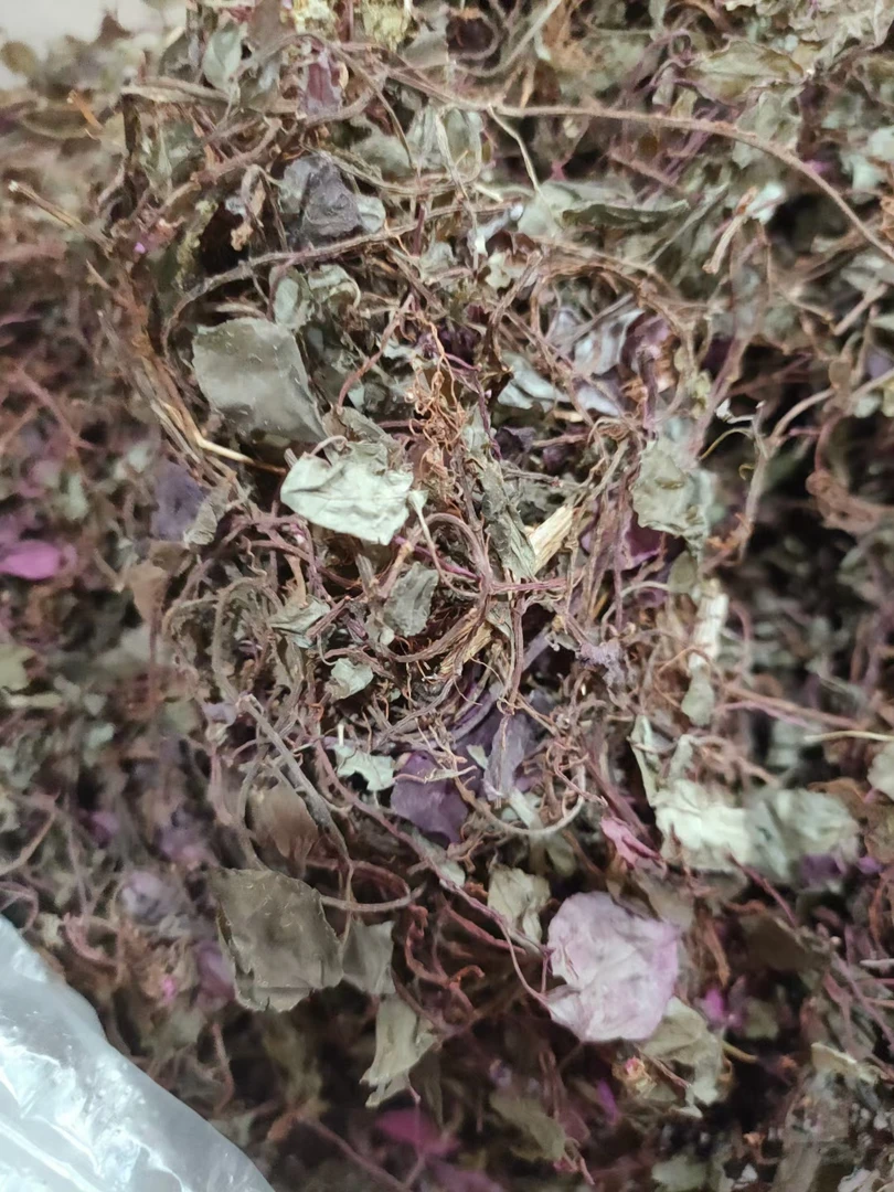 野生本地风骨草风鼓草 风柜斗草 褚头红 500克