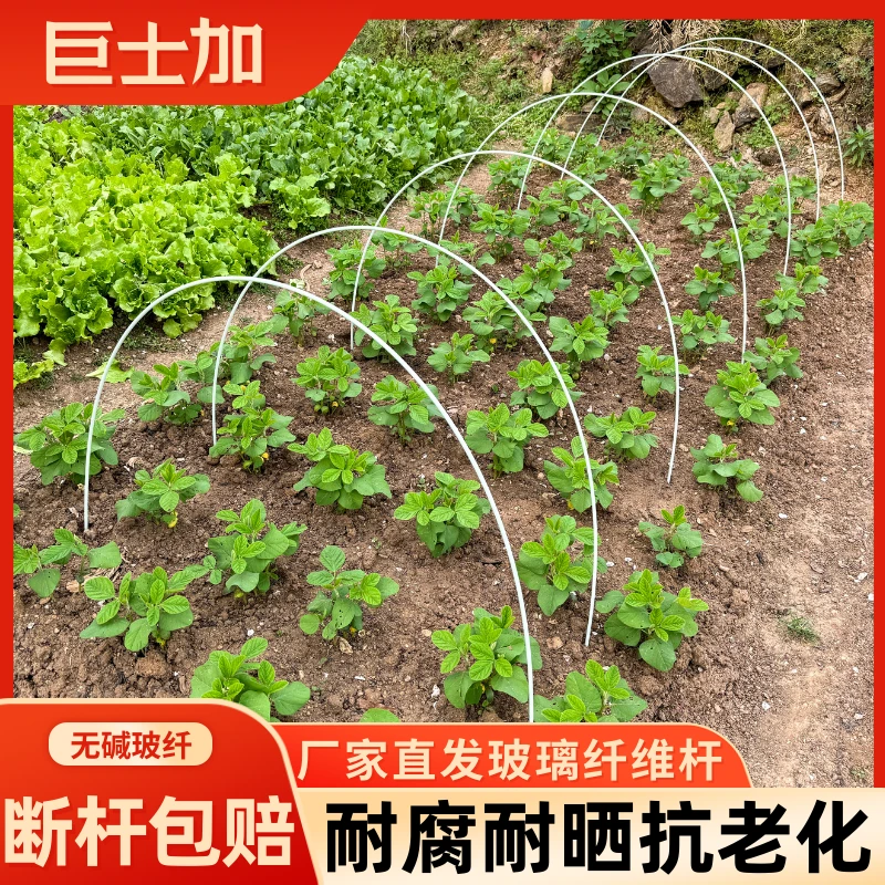 厂家直发农用蔬菜小拱棚支架黄瓜豆角西红柿立杆耐用玻璃纤维杆