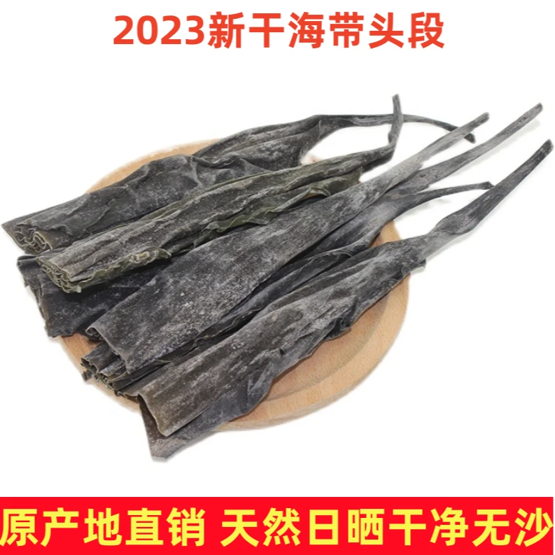 干海带新货日晒无沙海带干货厚实海带头长宽叶海带根软糯昆布500g