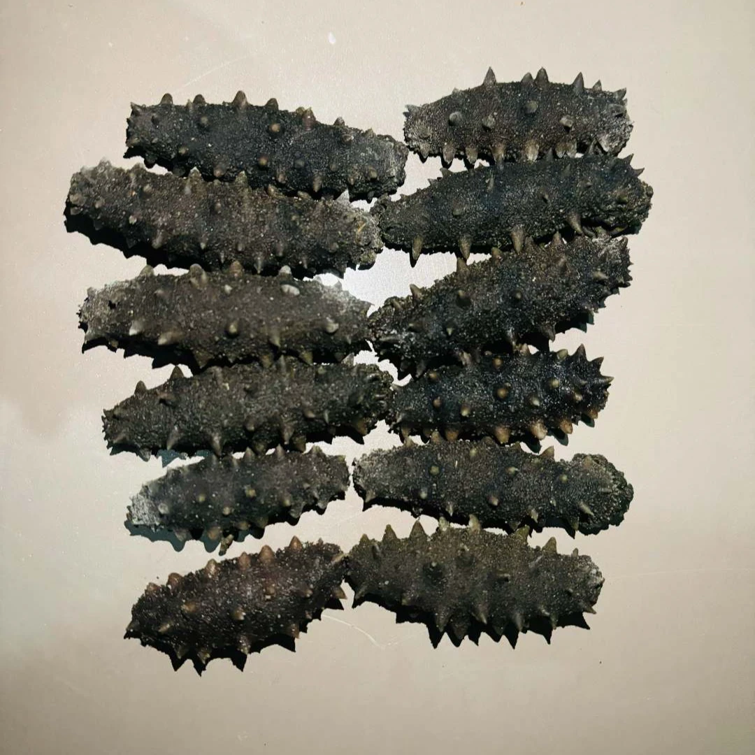 (精品大火半干)长海县深海海参, 大火盐渍半干海参500g
