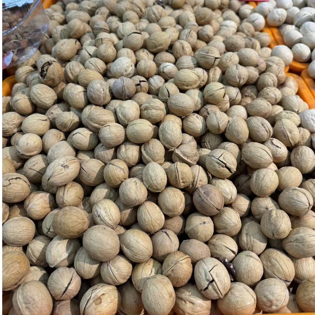 【干果】核桃  约1斤左右