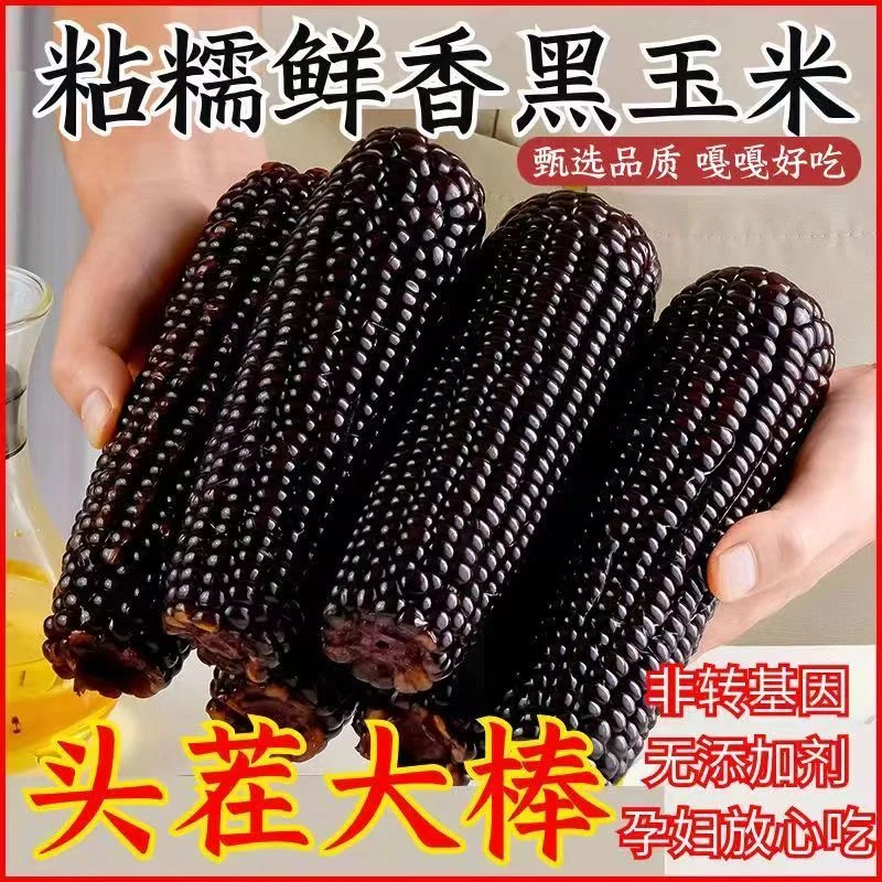 【试吃2根】黑糯玉米 东北黑土地种植 整箱10根