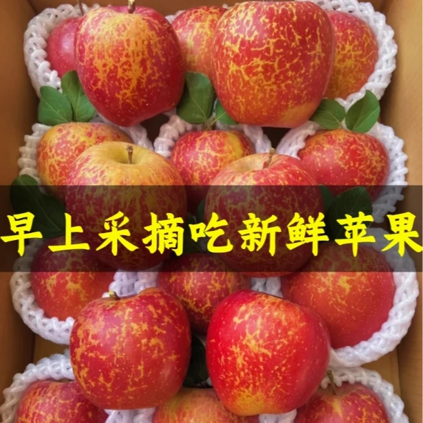 洛川红富士正宗冰糖心新鲜苹果