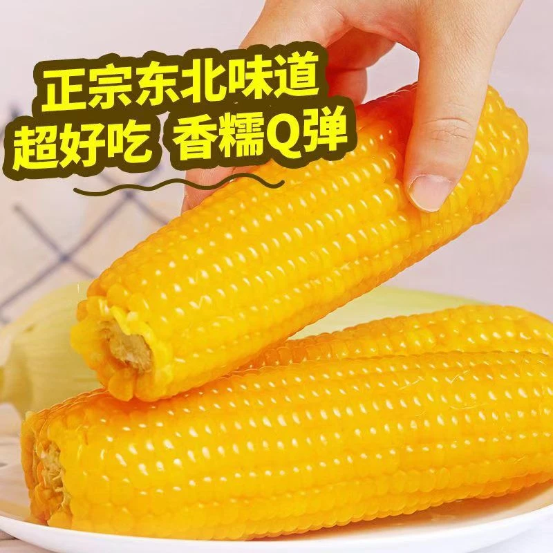 ②0②4年最新采摘黄糯玉米 吉糯111 铝箔包装整箱10只装 4.5-5斤装
