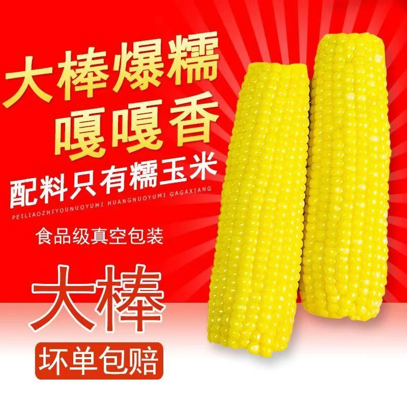 【头 茬】东北头茬老品种黄糯玉米 极速锁鲜 软硬适中 整箱6斤以上