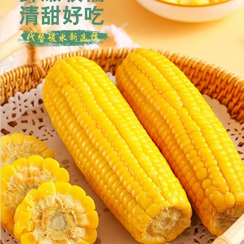 【2024】最新采摘 铝箔包装黄糯玉米 口感鲜嫩 整箱8支装新鲜拉丝