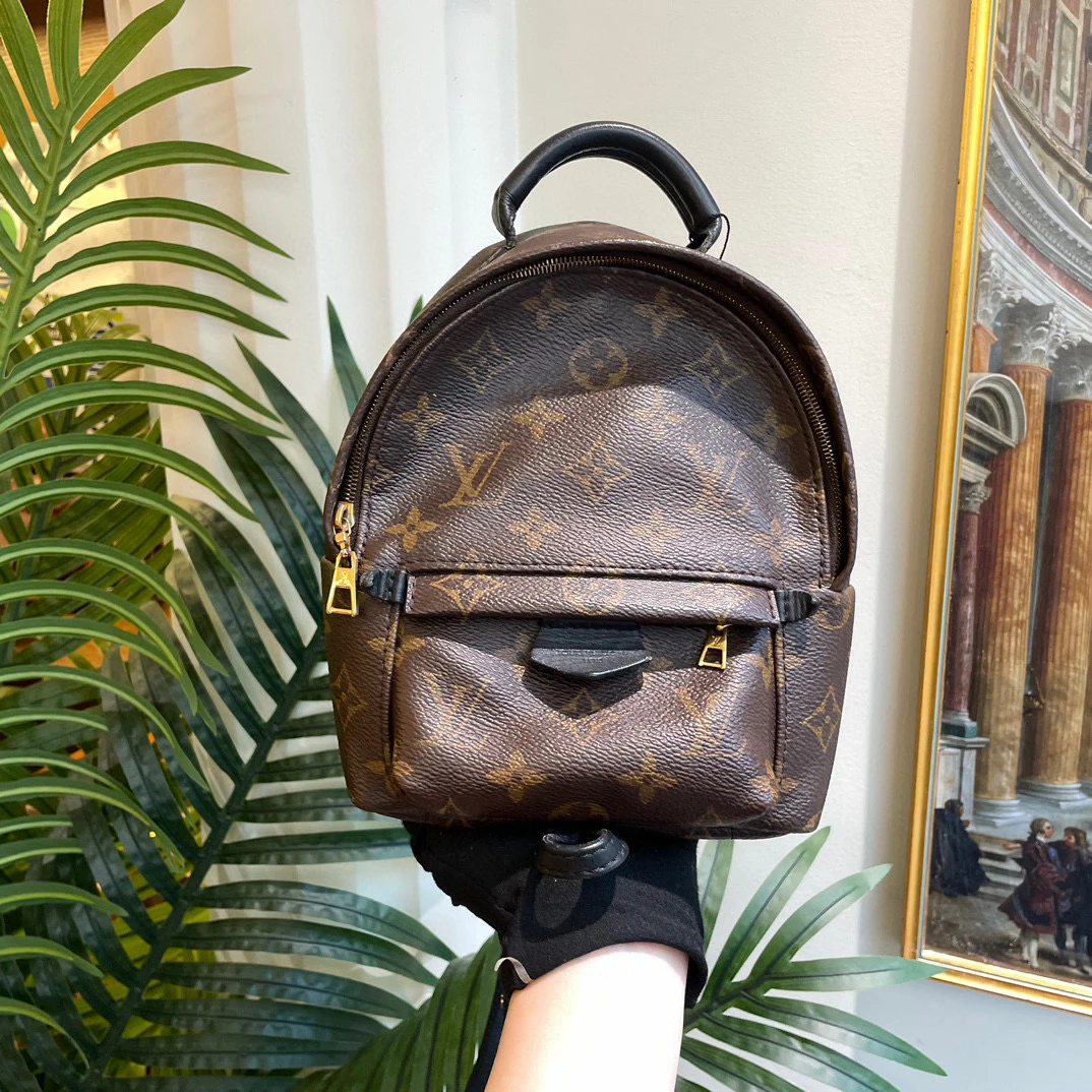 95新 LouisVuitton/路易威登 御古屋/34910/mini双肩书包 16年