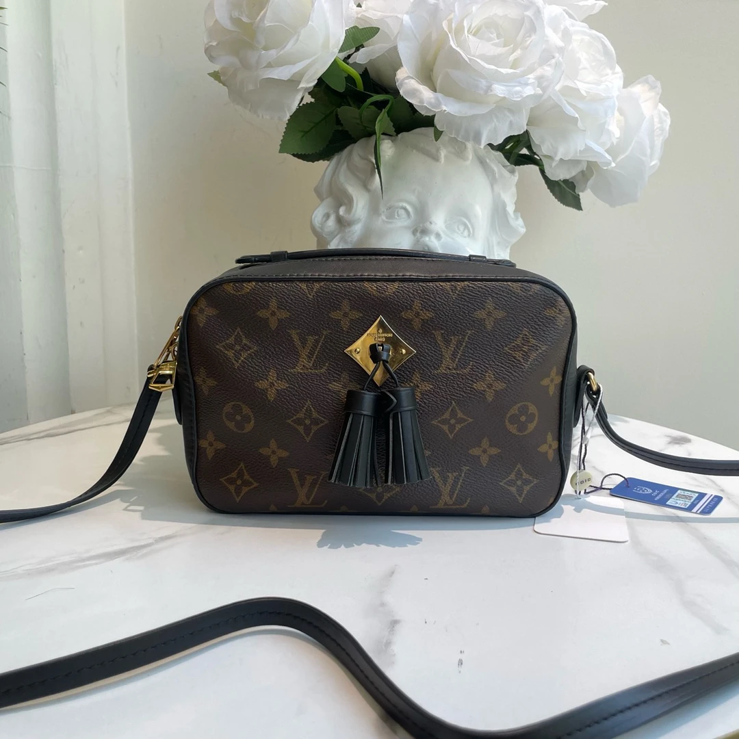 95新 LouisVuitton/路易威登 御古屋/64882/流苏相机 19年