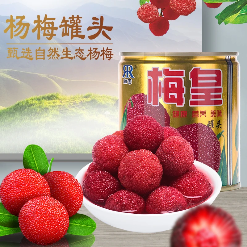 出口品质糖水杨梅罐头整箱水果果肉烘焙原料大份量商用