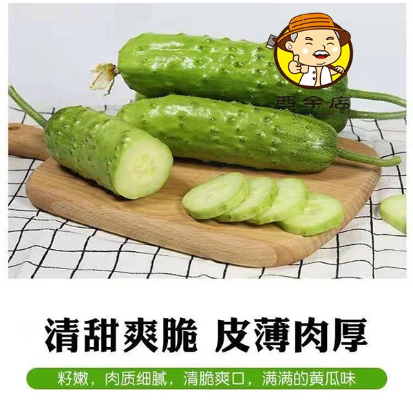 湖北新鲜水果黄瓜现摘农家旱黄瓜当季秋黄瓜脆嫩小黄瓜5斤包邮