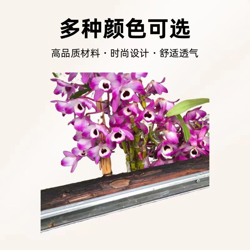 六子花卉一物一拍10-100