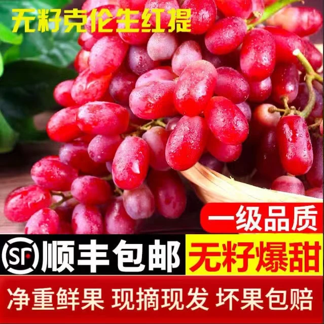 【老徐推荐】运城晚熟葡萄克伦生无籽红提葡萄顺丰包邮2/3/4斤