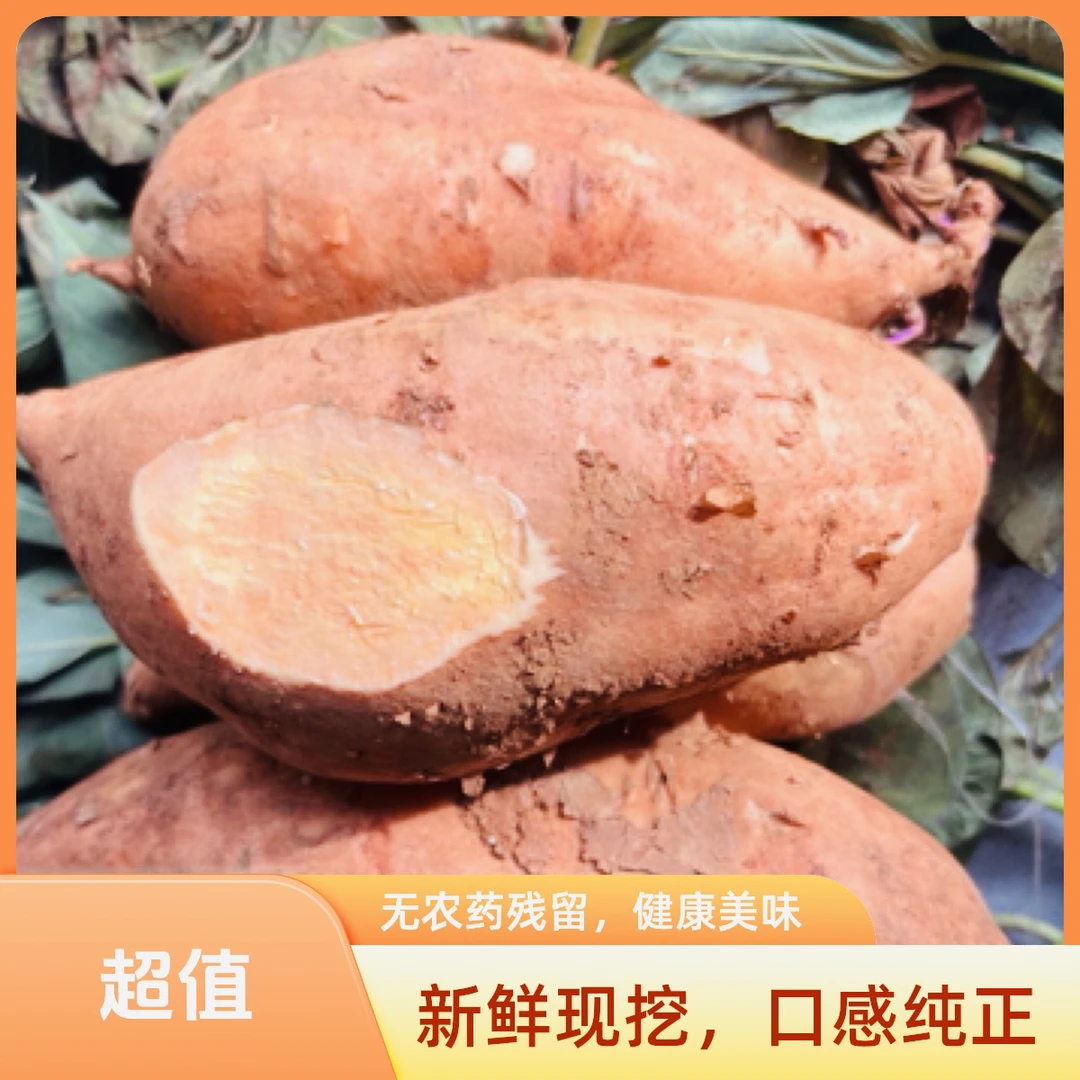 云南高原黄金蜜薯红土地正宗新鲜超甜黄心番薯地瓜批发零售