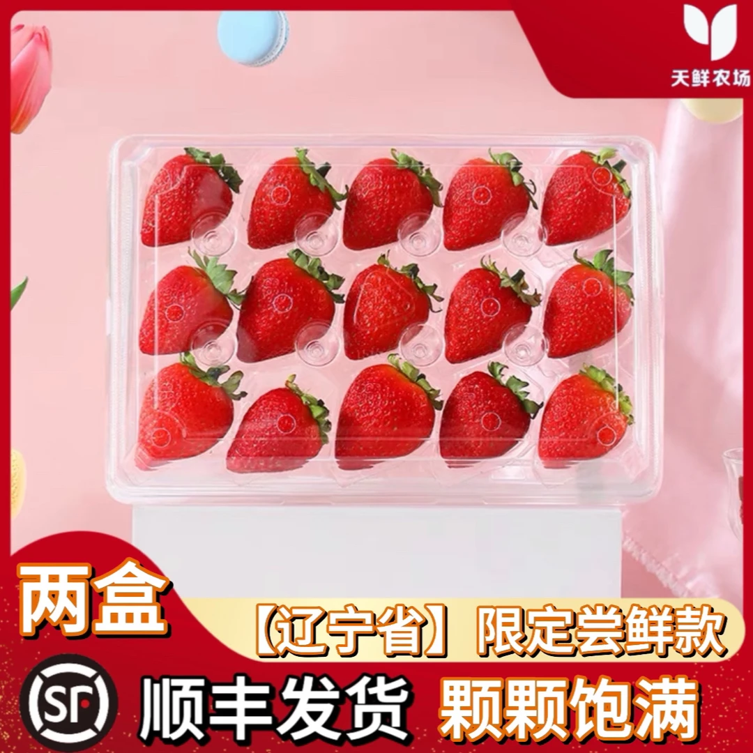 天鲜农场【辽宁限定尝鲜装】丹东99草莓250g/盒顺丰空运拍一发二