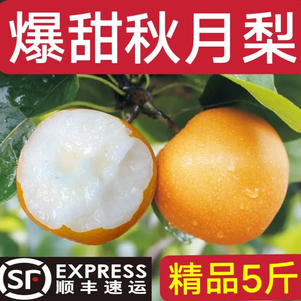 【顺丰彩箱】爆甜秋月梨脆甜冰糖蜜梨皮薄入口化渣梨子5斤包邮