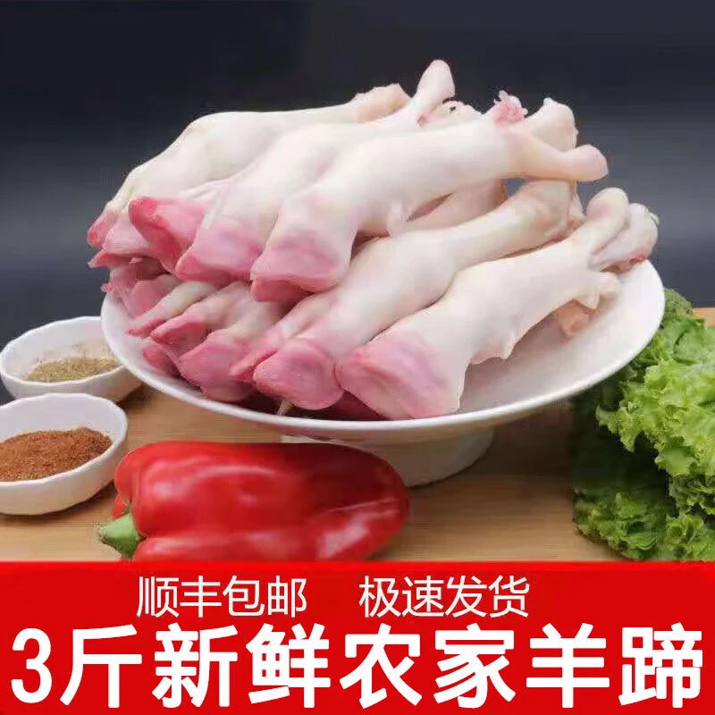 羊蹄新鲜冷冻生羊蹄羔羊蹄羊小蹄生鲜羊蹄子羊净蹄烧烤炖卤3斤